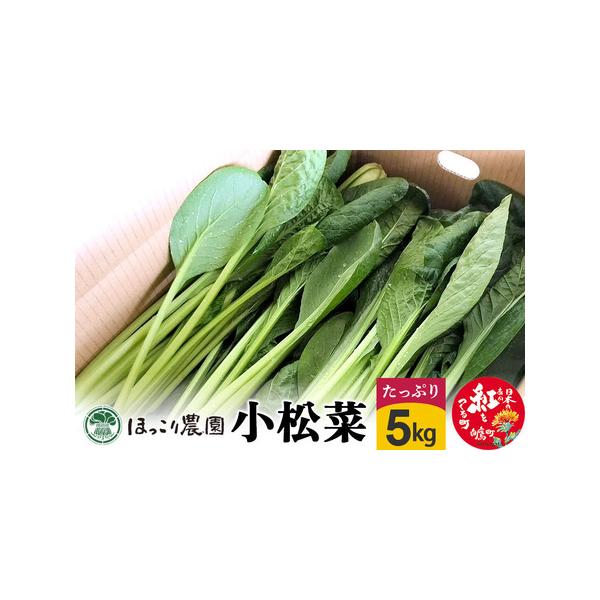 ■ 容量　■名称：小松菜　■内容量：5kg束　■配送温度帯：冷蔵　■賞味期限：配達日より3日　■注意事項：・到着時の鮮度を保つため夕方に発送いたしますので、お早めのお受け取りをお願いいたします。　・なるべく早めの発送を心がけますが、栽培状況...