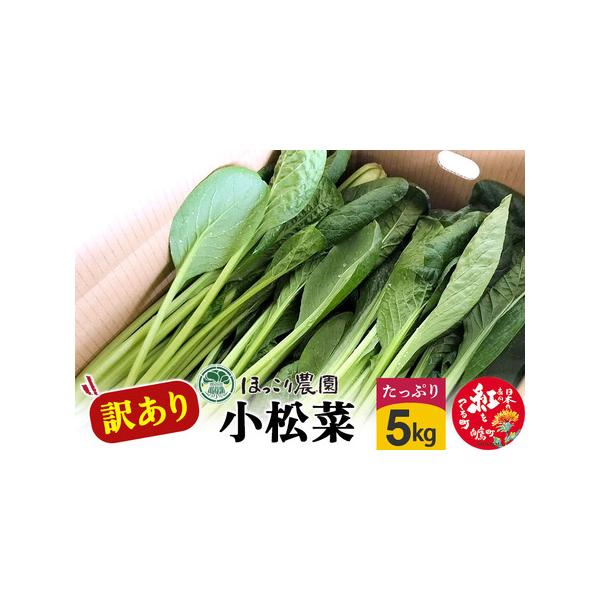 ■ 容量　■名称：小松菜　■内容量：【訳あり】5kg束　※規格外または多少の穴・傷あり　■配送温度帯：冷蔵　■賞味期限：配達日より3日　■注意事項：・到着時の鮮度を保つため夕方に発送いたしますので、お早めのお受け取りをお願いいたします。　・...