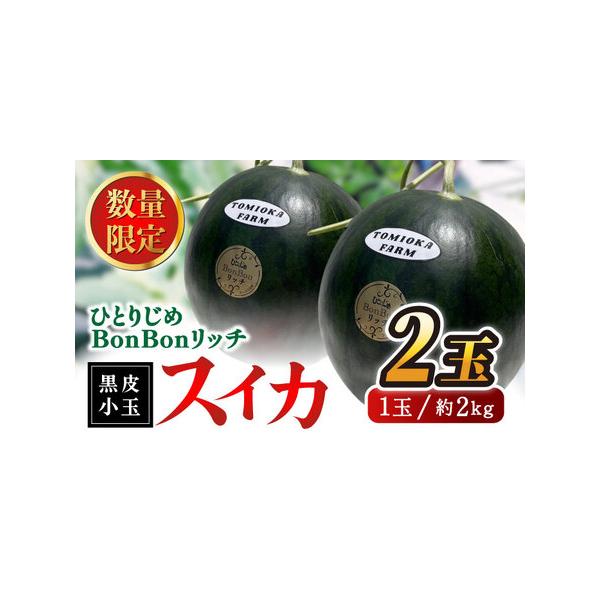 ■ 容量　2kg前後×2玉■ 配送について　【2026年】4月中旬〜5月末　　のしご希望の際は備考欄にご記入ください。　タイプ：【常温】【のし】