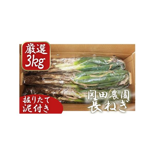 ■ 容量　長ねぎ(泥付き)：3kg　　■賞味期限　保存状況により10日〜2ヶ月　※土に埋めた場合は最大2ヶ月程度保存可　■ 配送について　2025年11月〜2026年3月下旬　タイプ：【常温】【定期】