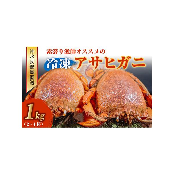ふるさと納税 沖永良部島直送！素潜り漁師オススメの冷凍アサヒガニ1キロ（2〜4杯） W030-007u 冷凍 海鮮 カニ 鹿児島県和泊町