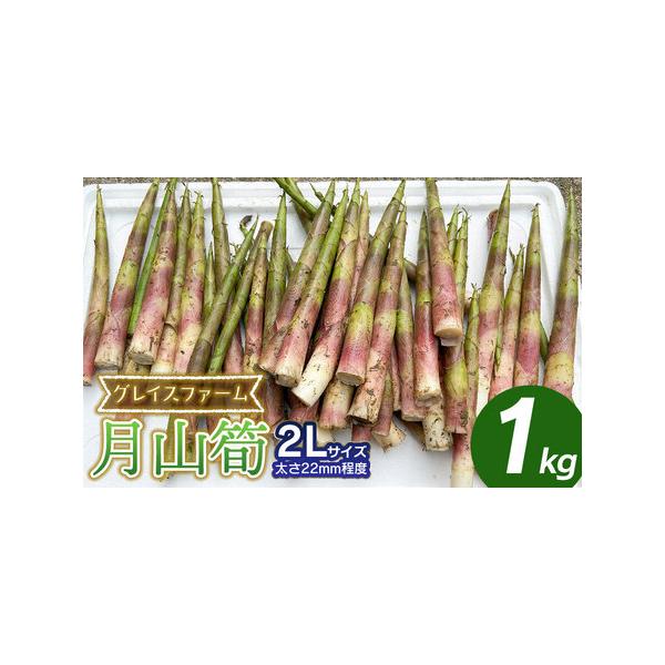 ■ 容量　月山筍　2Lサイズ（太さ22mm程度）　1kg（8〜20本程度）　※サイズ・本数のご指定は出来ません。　　【産地名】鶴岡市関谷産　　【提供事業者】 グレイスファーム　　【賞味期限】収穫後4日以内　　■ 配送について　【申込期日】　...