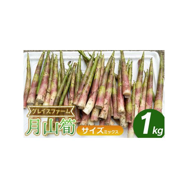 ■ 容量　月山筍　ミックスサイズ　1kg（8〜20本程度）　※サイズ・本数のご指定は出来ません。　　【産地名】鶴岡市関谷産　　【提供事業者】グレイスファーム　　【賞味期限】収穫後4日以内　　■ 配送について　【申込期日】　令和8年5月15日...