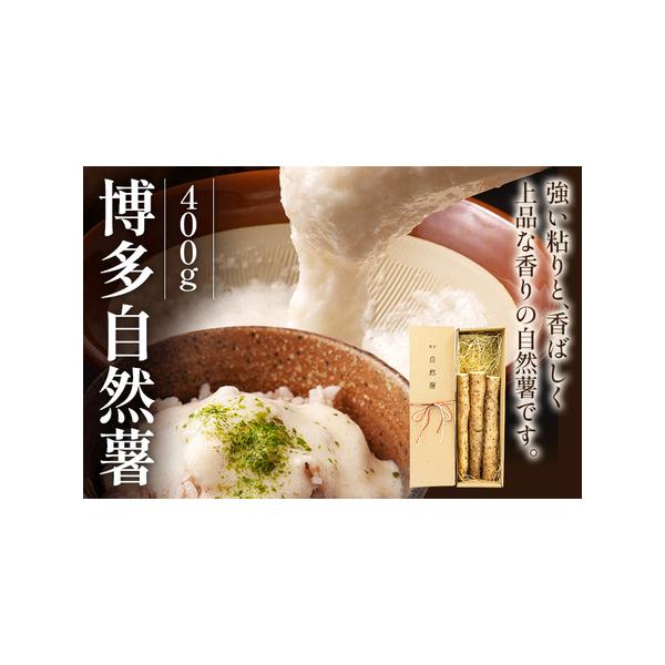 ■ 容量　博多自然薯(400g)　(箱サイズ330×90×90)(目安2〜3本)　　■賞味期限　出荷日より2週間程度　　■保存方法　開封後は日の当たらない冷暗所で新聞紙などにくるみ保存■ 配送について　2025年12月上旬〜2026年2月上...