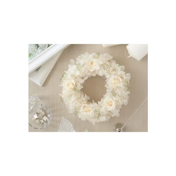 ■ 容量　大きさ：直径 約20cm 　　タイプ：【常温】