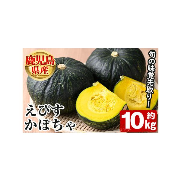 ■ 容量　鹿児島県産 えびすかぼちゃ：約10kg■ 配送について　2026年5月上旬以降順次発送予定　※青果のため、育成状況により発送が前後する場合がございます。　タイプ：【常温】