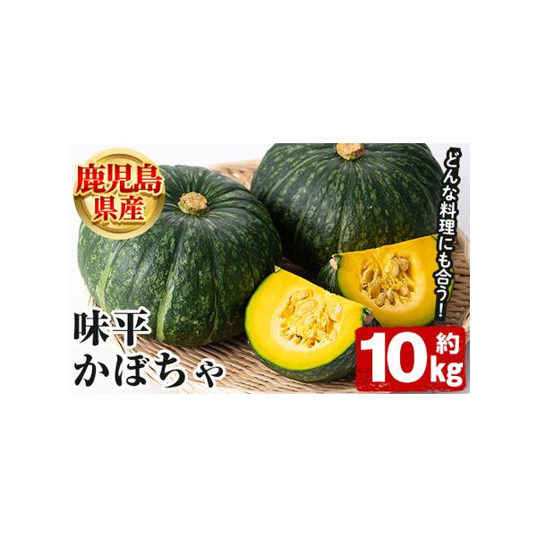 ■ 容量　鹿児島県産 味平かぼちゃ：約10kg■ 配送について　2026年5月上旬以降順次発送予定　※青果のため、育成状況により発送が前後する場合がございます。　タイプ：【常温】