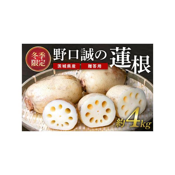 ■ 容量　レンコン　約4kg■ 配送について　入金確認後、順次発送予定となります。　※配送日の希望等は受けられませんので、予めご了承ください。　※天候により出荷時期が前後する場合がございますので、ご理解のほどお願い申し上げます。　タイプ：【常温】