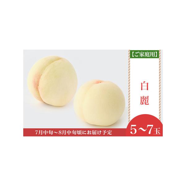 ■ 容量　岡山白桃「白麗」5〜7玉　※1.5kg箱に入れてお送りします。　※玉のサイズが不揃いの場合がございます。　※品種はお選びいただけません。あらかじめご了承ください。■ 配送について　※天候などの影響や育成具合により、発送時期が変動す...