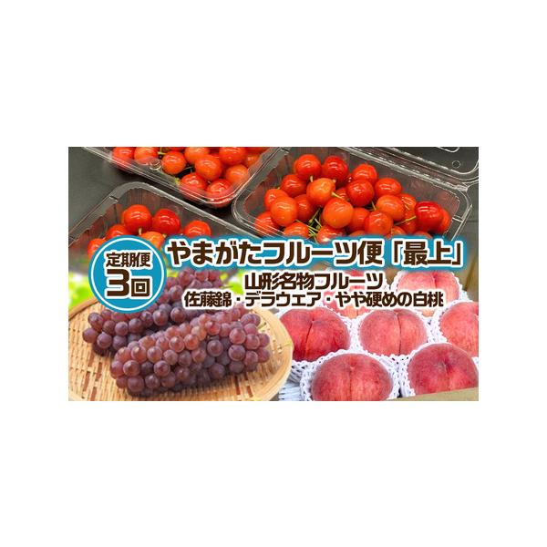 ■ 容量　【令和8年産】　1回目：さくらんぼ 佐藤錦 Lサイズ 約540g (約180g×3パック) (6月10日〜7月10日) 冷蔵　　2回目：デラウェア 約1.5kg Ｍ〜2Lサイズ 秀品 (7月20日〜8月20日) 冷蔵　　3回目：白...