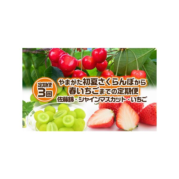■ 容量　【令和8年産】　　1回目：さくらんぼ佐藤錦 Lサイズ 約400g  (200g×2パック)  (6/10〜7/10) 冷蔵　　2回目：シャインマスカット 約700g 1房 秀品 (9/20〜10/20) 冷蔵　　3回目：いちご  ...