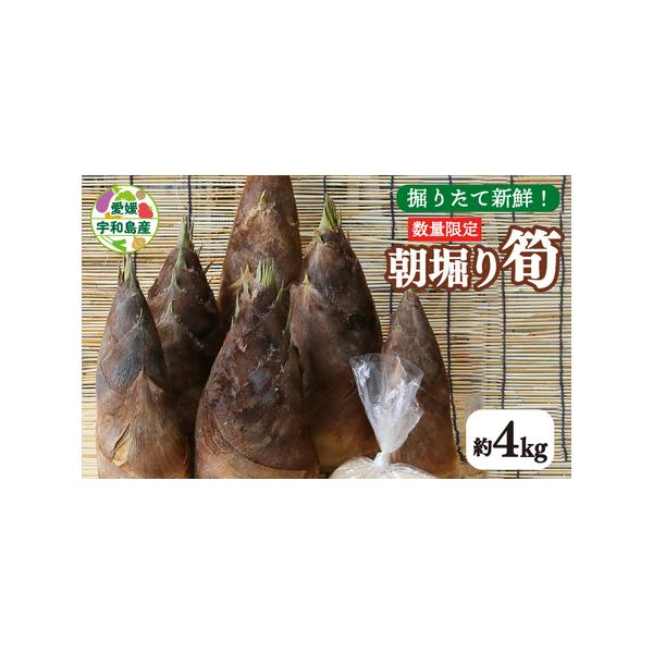 ■ 容量　筍　約4kg■ 配送について　4月　※配送日指定不可　※土日発送不可のため月曜日着の曜日指定はお受けできかねます。　※３日以上不在になるご予定がありましたら、必ずご記入ください。 ご不在が続いたことで筍が傷んだ場合、代品等の対応は...