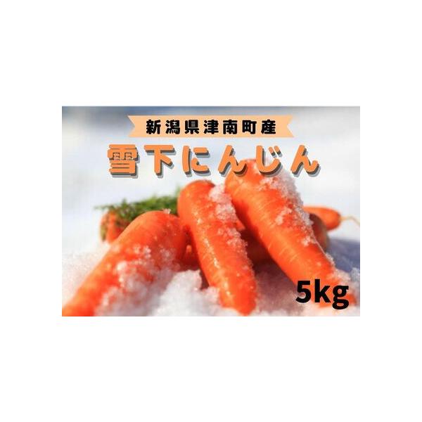 ■ 容量　5kg　　【賞味期限】　10日【※冷蔵での保管をおすすめいたします。】■ 配送について　※2026年3月より順次発送します。※所定の数量に達したら申込終了させていただきます。　タイプ：【常温】【冷蔵】