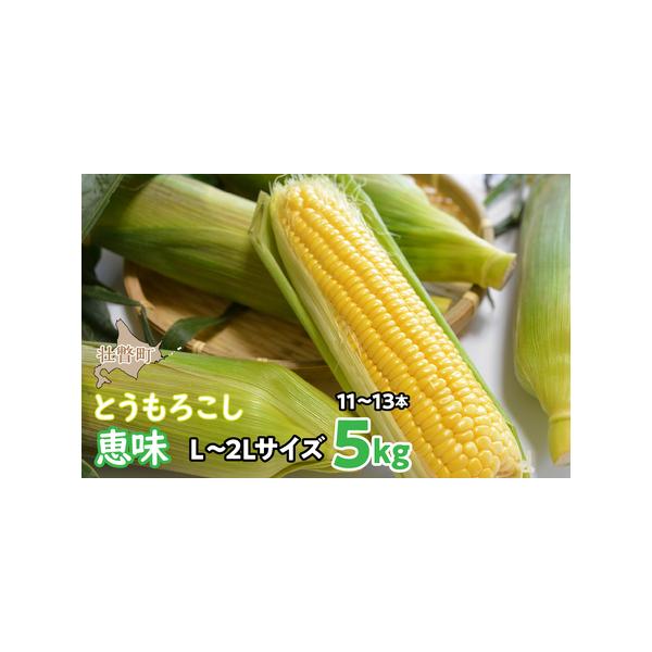 ■ 容量　とうもろこし（恵味）L〜2Lサイズ　合計11〜13本　約5kg■ 配送について　2026年8月初旬〜8月末まで　発送可能時期より順次発送予定　※沖縄、離島への配送はできかねますので、あらかじめご了承願います。　上記のエリアからの申...