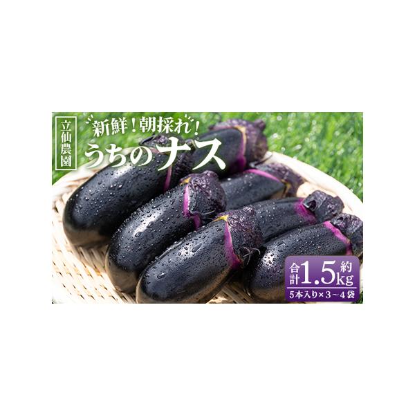 ■ 容量　■なす：１.５kg（５本入り３〜４袋）■ 配送について　入金確認後、30日以内に発送予定 　タイプ：【常温】