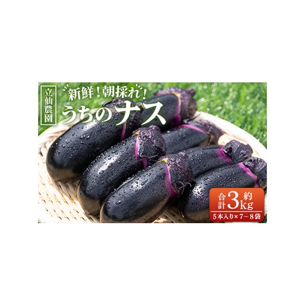 ■ 容量　■３kg（５本入り７〜８袋）■ 配送について　入金確認後、30日以内に発送予定 　タイプ：【常温】