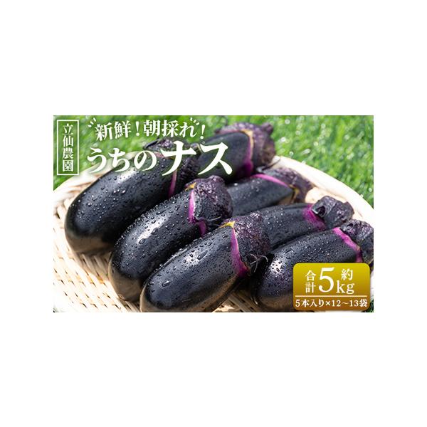 ■ 容量　■５kg（５本入り１２〜１３袋）■ 配送について　入金確認後、30日以内に発送予定 　タイプ：【常温】