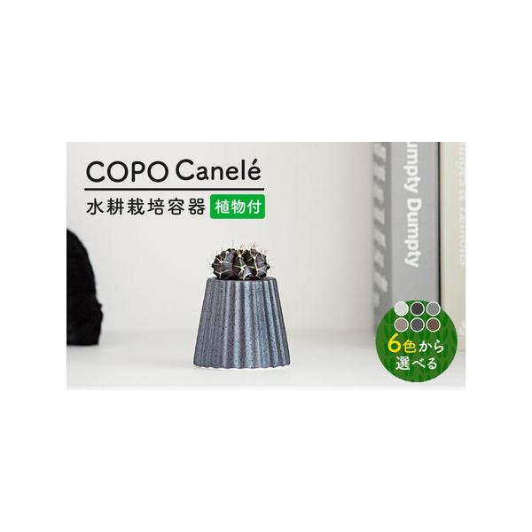 ■ 容量　※こちらはご希望を備考欄に記載いただくお品です※　　※お好きな色を1色お選びください。　【カラー】　A：マットホワイト　B：チャコールブラック　C：グレイ　D：グレージュ　E：銀鱗　F：金鱗　　【発送について】　10月?3月お申込...