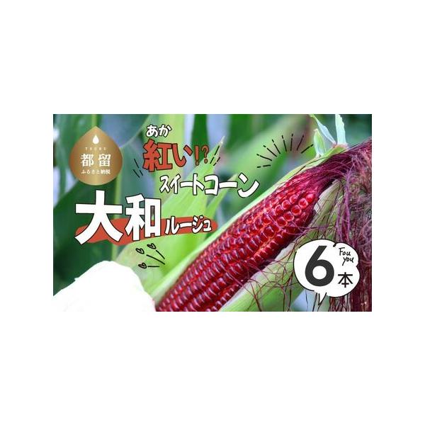 ■ 容量　山梨県都留市産　紅いスイートコーン『大和ルージュ』　6本　タイプ：【冷蔵】
