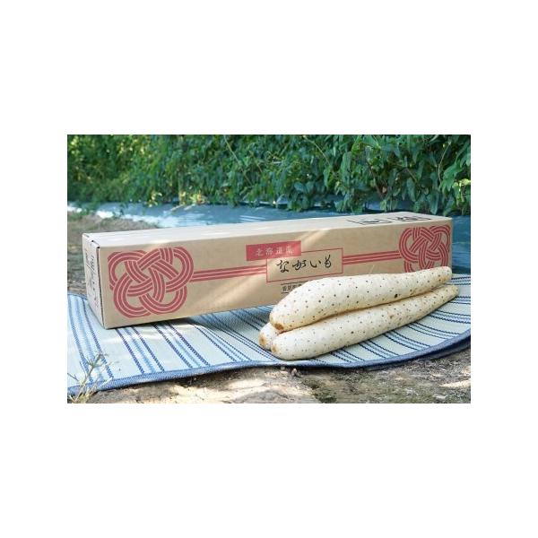 ■ 容量　ながいも4本（Lサイズ、約2.8kg）■ 配送について　9月〜11月お申込みの場合、寄附確認後60営業日以内を目安に発送予定　　【発送温度帯】　5月〜9月：冷蔵　10月〜4月：常温　タイプ：【常温】【冷蔵】