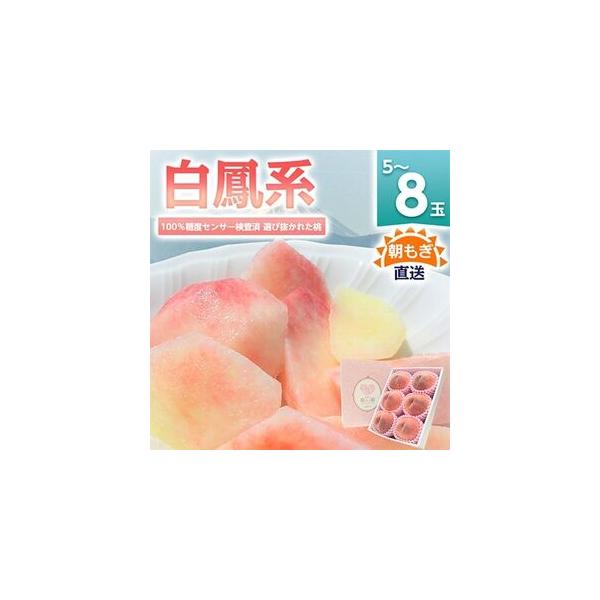 ■ 容量　※上記に記載■ 配送について　2026-06-23〜2026-07-31　タイプ：【冷蔵】