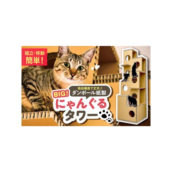 ふるさと納税 にゃんぐるタワー / 恵那市 東濃コアー [AUEZ001