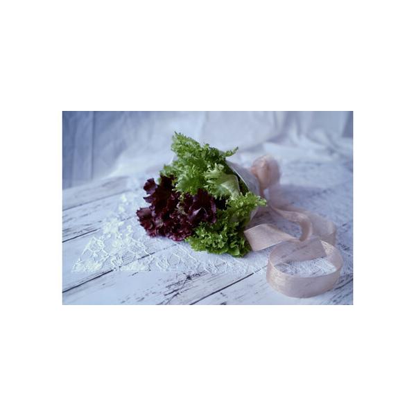 ■ 容量　400g（グリーンのみ80g×2袋＋グリーンとレッドのミックス120g×2袋）■ 配送について　ご寄付納入確認日から１ヶ月以内を目安に返礼品をお送りいたします。　タイプ：【冷蔵】