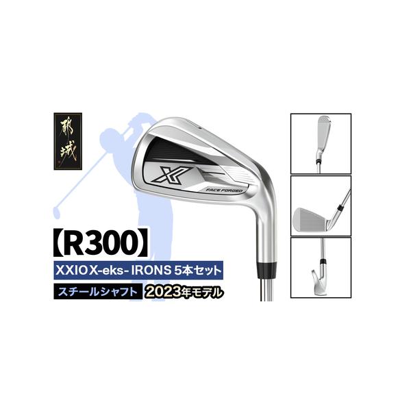 ふるさと納税 ゼクシオ エックス アイアン 5本セット スチールシャフト