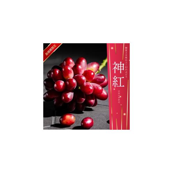 ふるさと納税 【先行予約】島根県限定！幻のぶどう“神紅(しんく)” 糖度
