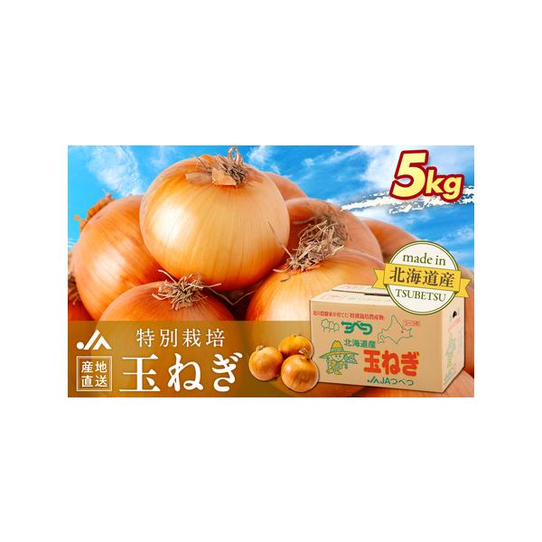 ■ 容量　5kg■ 配送について　2026年11月上旬より順次　（予定発送期間2026年11月上旬〜2027年2月中旬頃）　※受付順に随時発送致します　タイプ：【常温】