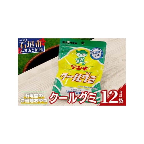 ふるさと納税 【島外不出のゲンキくんグッズが返礼品に!!】八重山ご