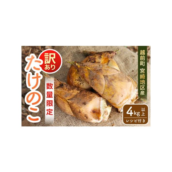 ■ 容量　■内容量等　【訳あり】たけのこ(アク抜き用のぬか付き)　約4kg　原産地:福井県越前町　※たけのこの本数はお選びいただけません。　　■ 訳あり理由　※大きい”たけのこ”、小さい”たけのこ”が混ざります。　※若干の傷などがある場合が...