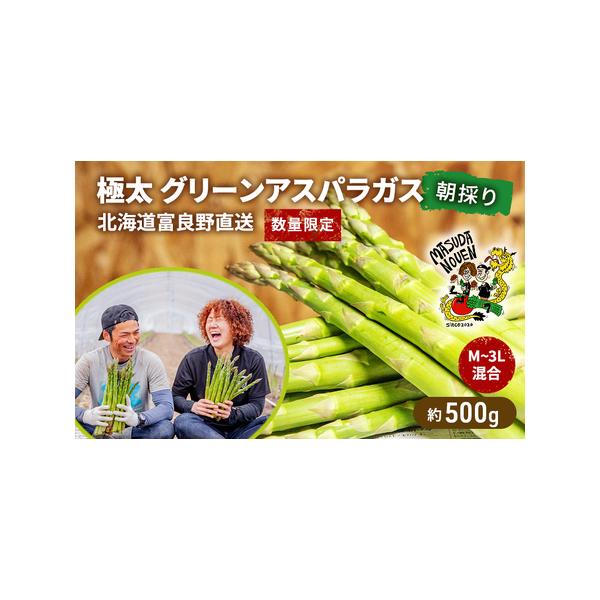 ■ 容量　グリーンアスパラガス M〜3L混合 約500g　■ 配送について　2026年4月初旬頃〜5月中旬まで　　タイプ：【冷蔵】