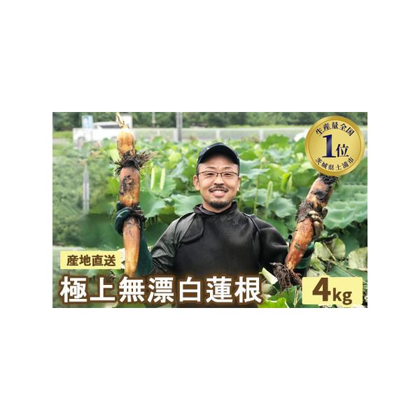 ■ 容量　4kg■ 配送について　20日以内に発送いたします　タイプ：【常温】