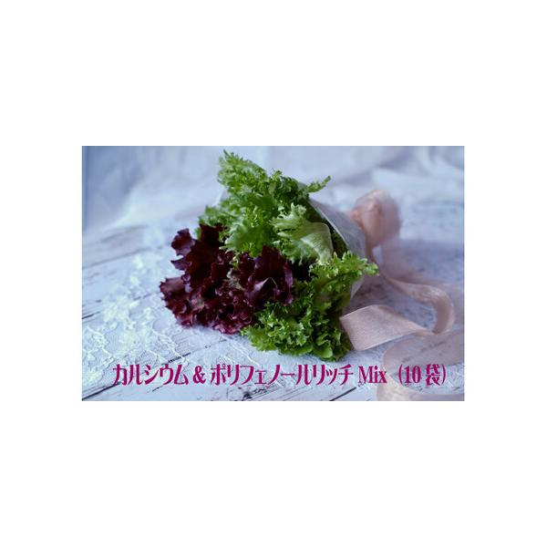 ■ 容量　960g（グリーンのみ80g×6袋＋グリーンとレッドのミックス120g×4袋）■ 配送について　ご寄付納入確認日から１ヶ月以内を目安に返礼品をお送りいたします。　タイプ：【冷蔵】