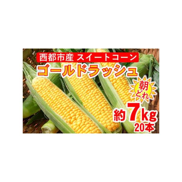 ■ 容量　西都市産ゴールドラッシュ：約7kg（20本）　※鮮度を保つため、冷気取込み用の穴の開いた段ボール箱でのお届けとなります。■ 配送について　令和8年5月中旬から6月中あたりまでの発送を予定しております。　※生ものですので、ご不在がご...