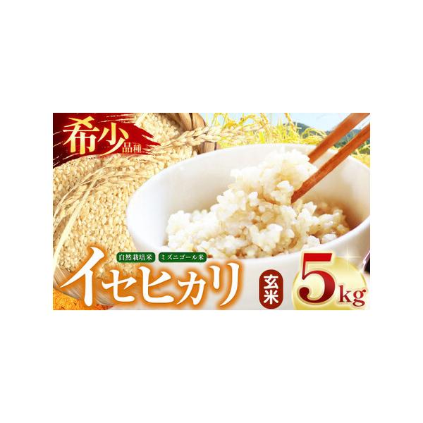 ふるさと納税 【令和7年産】自然栽培 自然栽培 イセヒカリ 5kg 玄米