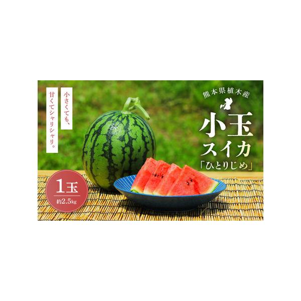 ■ 容量　約2.5kg×1玉■ 配送について　寄附確認後、2026年5月上旬〜5月下旬迄順次発送予定　※天候や発送状況により多少前後する場合がございますので、予めご了承ください。　タイプ：【常温】