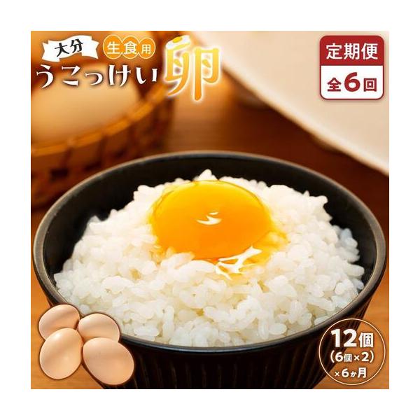ふるさと納税 【定期便 全6回】大分うこっけい卵　生食用12個（6個×2パック）＜一人暮らしの方におすすめ♪＞ 大分県由布市