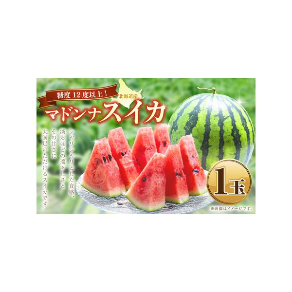 ■ 容量　マドンナスイカ 1玉 （2〜3Lサイズ）■ 配送について　2026年7月上旬〜2026年7月下旬発送予定　タイプ：【常温】