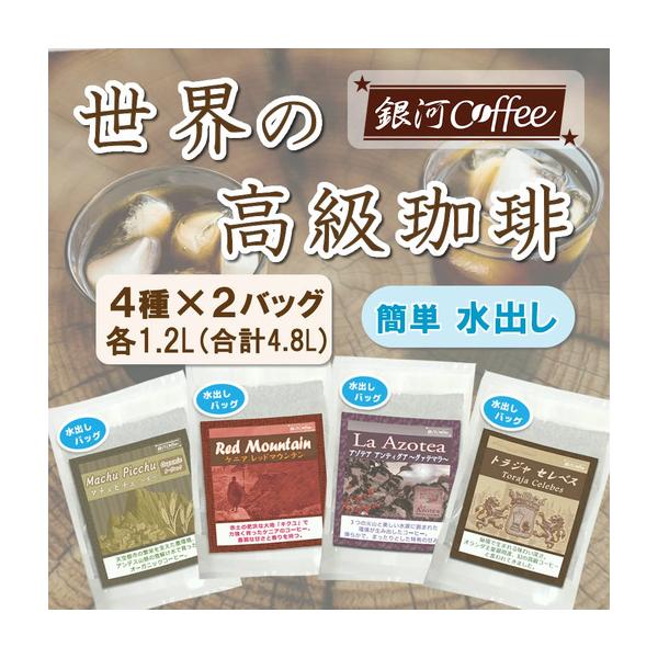 ふるさと納税 【12203-0126】水出し珈琲セット（お手軽版） 世界の高級コーヒー80g×4種 銀河コーヒー ふるさと納税 市川市 返礼品 千葉県市川市