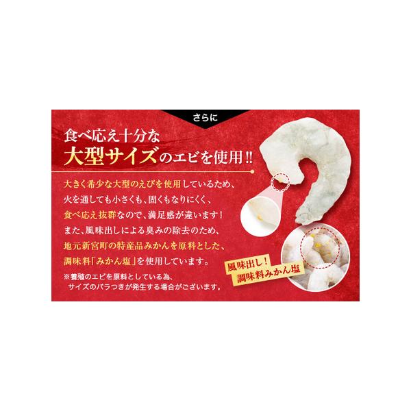 furunavi_1090105_3_d_20231207152120