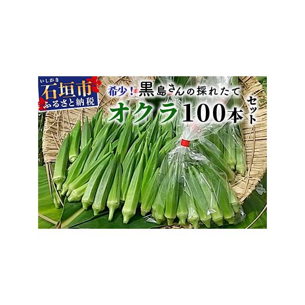 ふるさと納税 希少！黒島さんの採れたてオクラ100本セット（特別栽培、栽培期間中農薬不使用）3月〜順次発送【 沖縄県 石垣市 沖縄 石垣 石垣島 .. 沖縄県石垣市