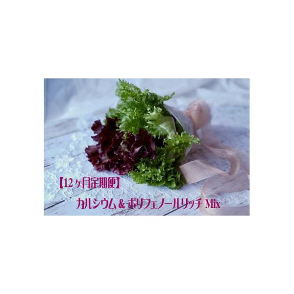 ■ 容量　400g（グリーンのみ80g×2袋＋グリーンとレッドのミックス120g×2袋）を月１回１２ヶ月間■ 配送について　ご寄付納入確認の翌月に初回返礼品をお送りいたします。　タイプ：【冷蔵】【定期】