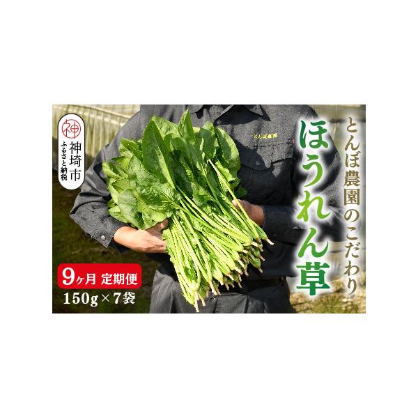 ■ 容量　・ほうれん草 150g×7袋（約1kg）×9ヶ月【合計 約9kg】　　【賞味期限】　発送日より、冷蔵で10日間　※到着後すぐに冷凍保存した場合は約1ヶ月■ 配送について　初回：1ヶ月前後で発送　※毎月1回、計9回発送いたします。　...