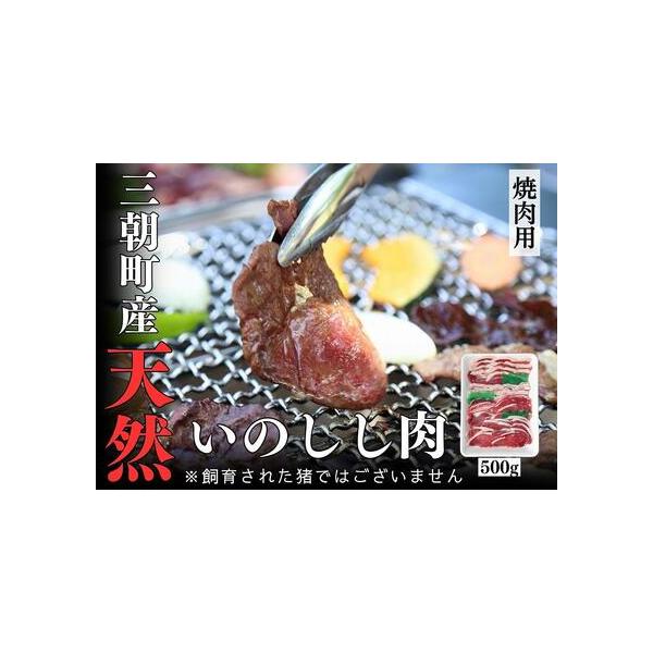 ■ 容量　500g　【賞味期限】　冷凍保存で6か月■ 配送について　準備でき次第順次発送いたします。※最大6ヶ月程度かかる場合があります。　【受付期間】　2023年9月1日〜　タイプ：【冷凍】
