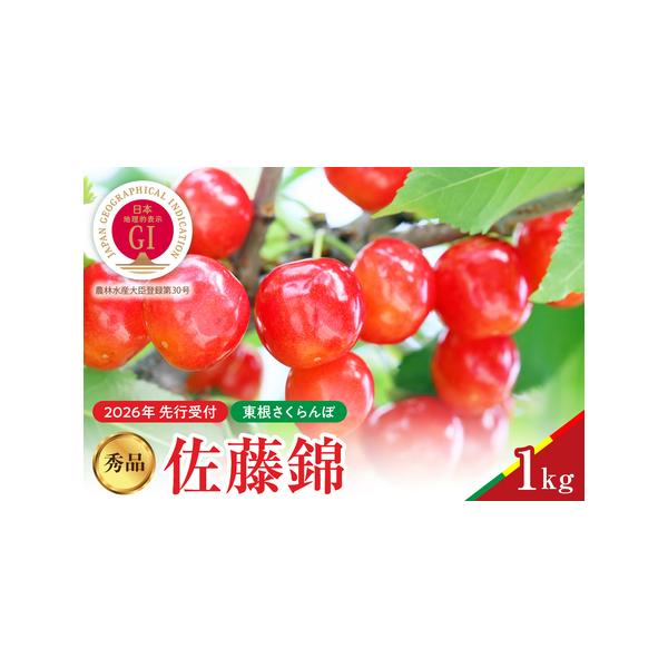 ■ 容量　佐藤錦秀品1kg　　■賞味期限　商品到着から１日　　■保存方法　冷蔵で保存してください　※ご到着後は、期限に関わらずお早めにお召し上がりください。　　■アレルギー　28品目中：該当なし■ 配送について　■申込期日　2026年4月1...