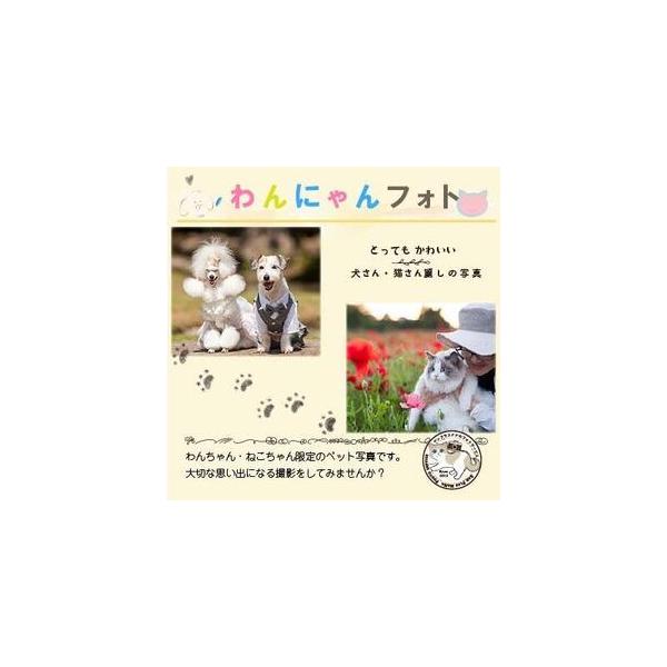 ■ 容量　ご購入の返礼品の「撮影クーポン」を送付します。　【返礼品の撮影サービス内容】　・わんちゃん又は、ねこちゃんとファミリーの写真撮影　・撮影時間　60分　・お写真枚数　50枚　・納品方法　データDVD又はオンラインストレージからのダウ...