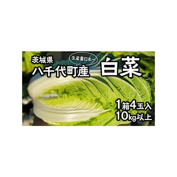 ■ 容量　八千代町産 白菜 10kg以上（4玉）1箱■ 配送について　2025年11月中旬頃よりお申込み順に発送開始　※天候や生育状況により前後する場合やお時間を頂戴する場合がございます。　タイプ：【常温】