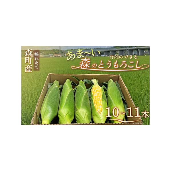 ■ 容量　・森のとうもろこし 10〜11本入り　・静岡県周智郡森町産　■ 配送について　2026年6月上旬から順次発送　　タイプ：【冷蔵】